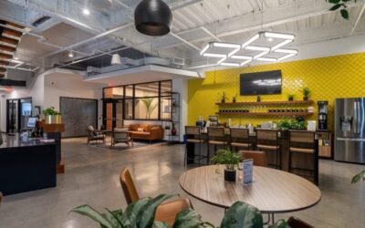 Will Data Transparency Affect How Members Choose Coworking Spaces?